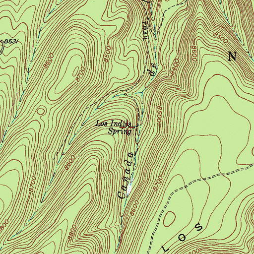 Topographic Map of Los Indios Spring, NM