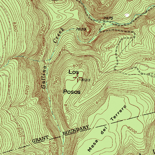 Topographic Map of Los Posos, NM