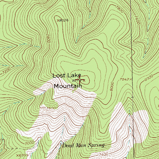 Topographic Map of Lost Lake Mountain, NM