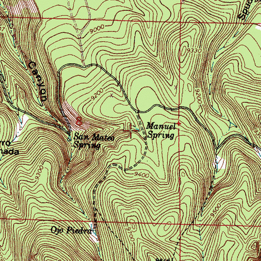 Topographic Map of Manuel Spring, NM