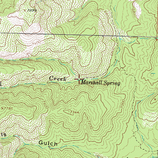 Topographic Map of Marshall Spring, NM