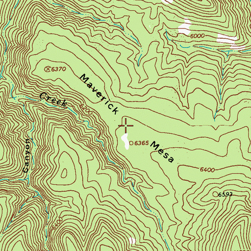 Topographic Map of Maverick Mesa, NM