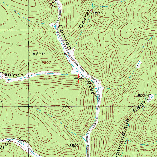 Topographic Map of McAfee Canyon, NM