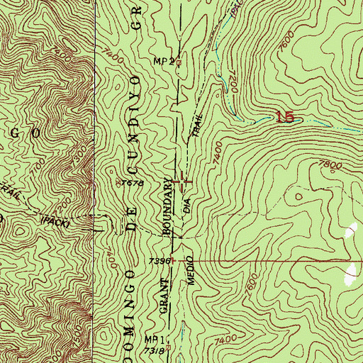 Topographic Map of Medio Dia Trail, NM