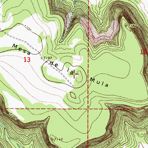 Topographic Map of Mesa de la Mula, NM