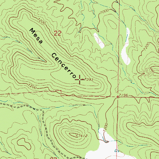 Topographic Map of Mesa Cencerro, NM