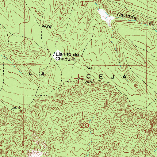 Topographic Map of Mesa de la Ceja, NM