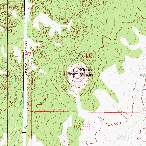 Topographic Map of Mesa Vibora, NM