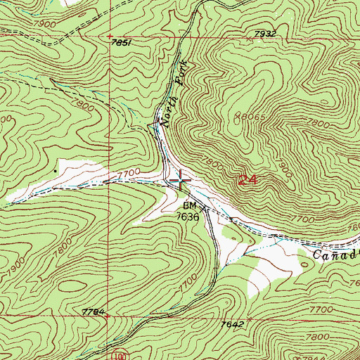 Topographic Map of Middle Fork Caada del Agua, NM
