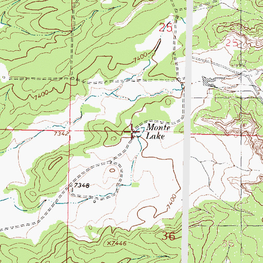 Topographic Map of Monte Lake, NM