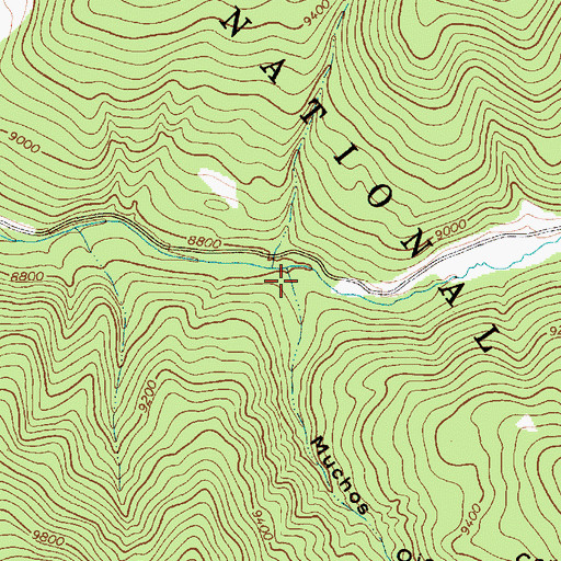 Topographic Map of Muchos Ojos Canyon, NM