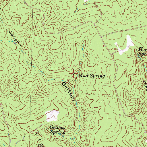 Topographic Map of Mud Spring, NM