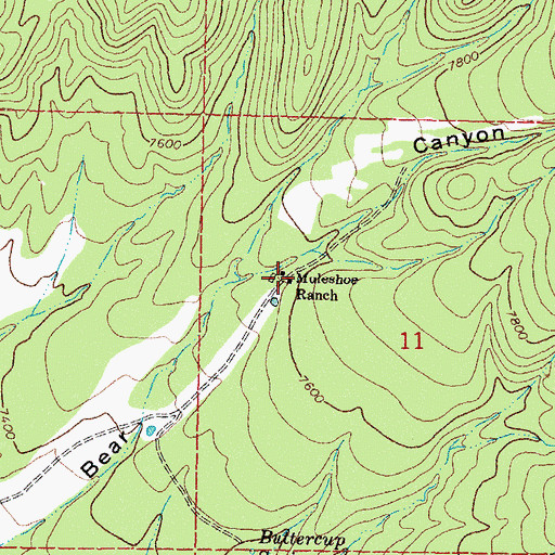 Topographic Map of Muleshoe Ranch, NM