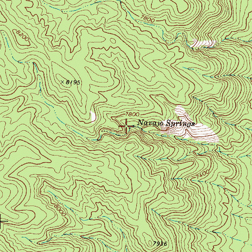 Topographic Map of Navajo Springs, NM