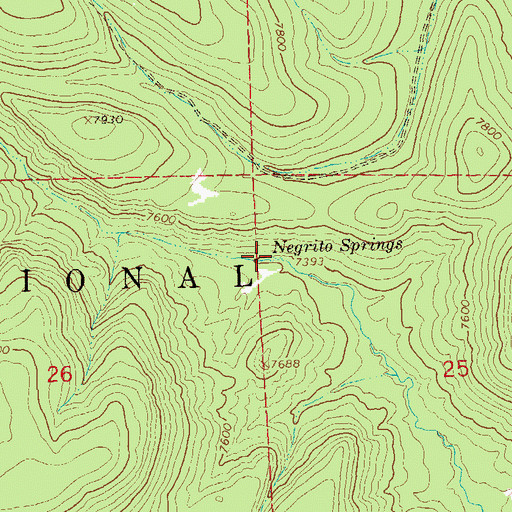 Topographic Map of Negrito Springs, NM