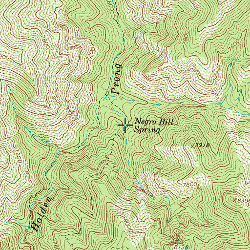 Topographic Map of Negro Bill Spring, NM