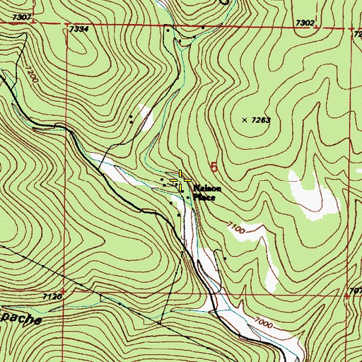 Topographic Map of Nelson Place, NM