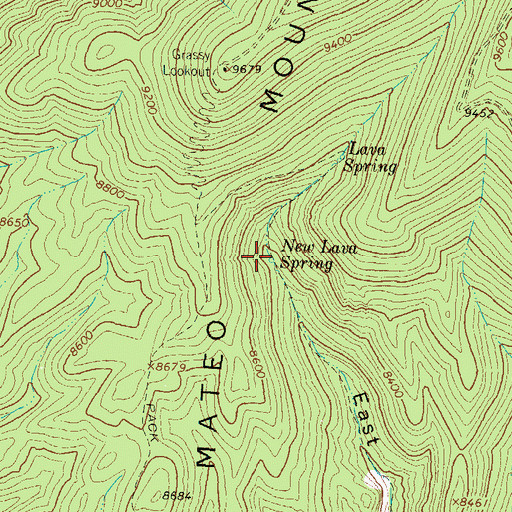 Topographic Map of New Lava Spring, NM