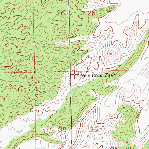 Topographic Map of New Road Tank, NM