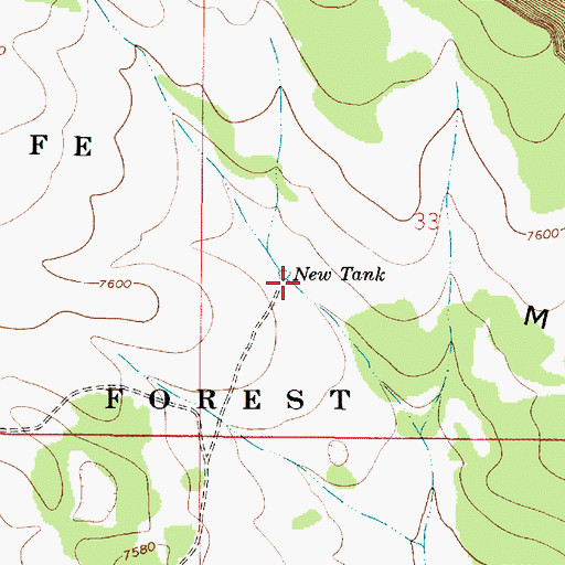 Topographic Map of New Tank, NM