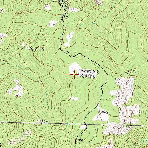 Topographic Map of Newman Spring, NM