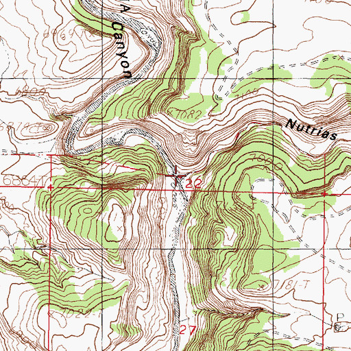 Topographic Map of Nutrias Canyon, NM
