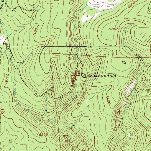 Topographic Map of Ojito Escondido, NM