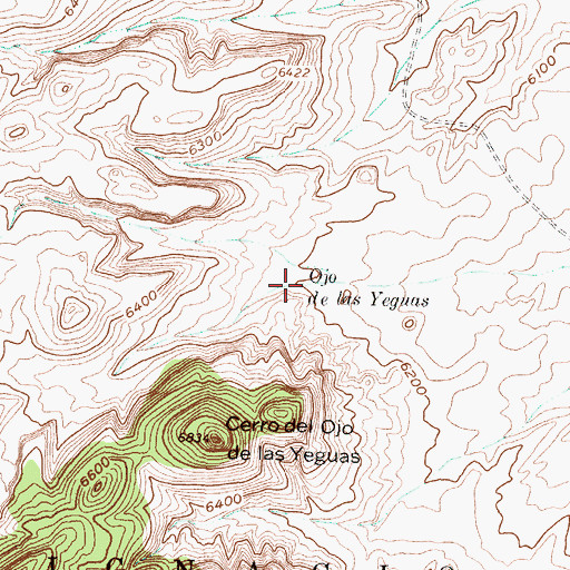 Topographic Map of Ojo de las Yeguas, NM