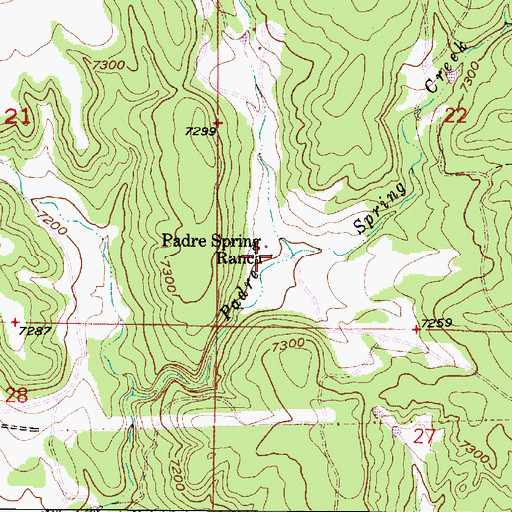 Topographic Map of Padre Spring Ranch, NM