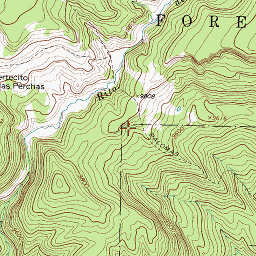 Topographic Map of Palomas Trail, NM