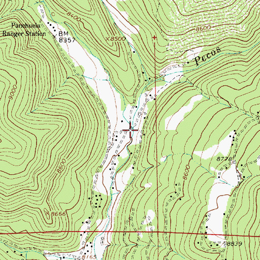 Topographic Map of Panchuela Creek, NM