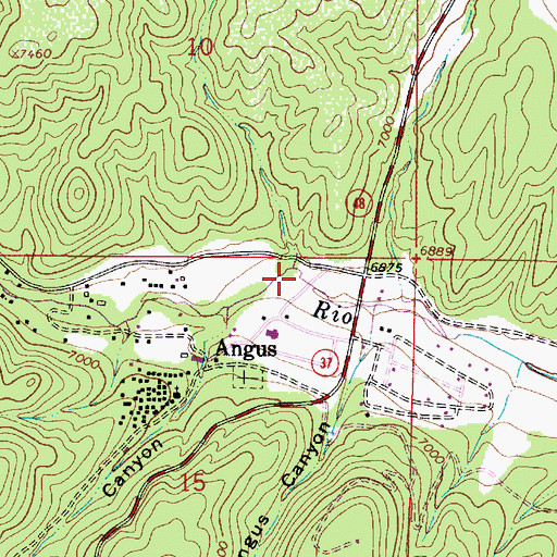 Topographic Map of Peters Canyon, NM