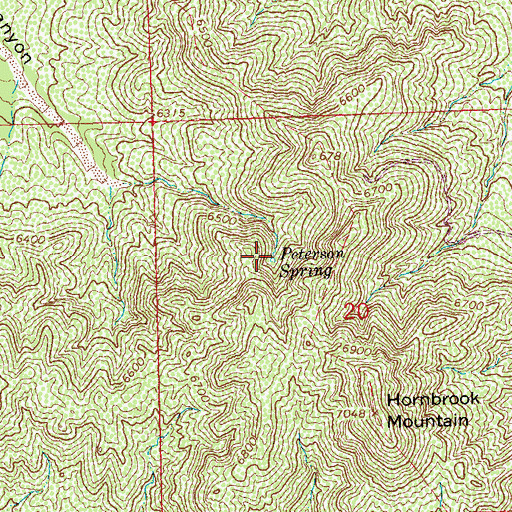 Topographic Map of Peterson Spring, NM
