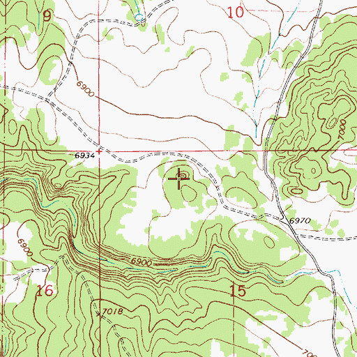 Topographic Map of Pine Mesa, NM
