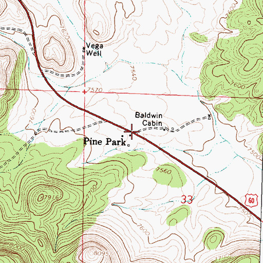 Topographic Map of Pine Park, NM
