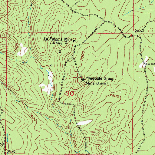 Topographic Map of Pineapple Group Mine, NM