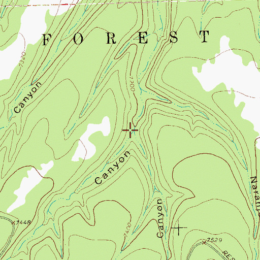 Topographic Map of Pistol Canyon, NM