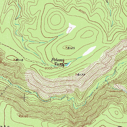 Topographic Map of Polecat Tank, NM