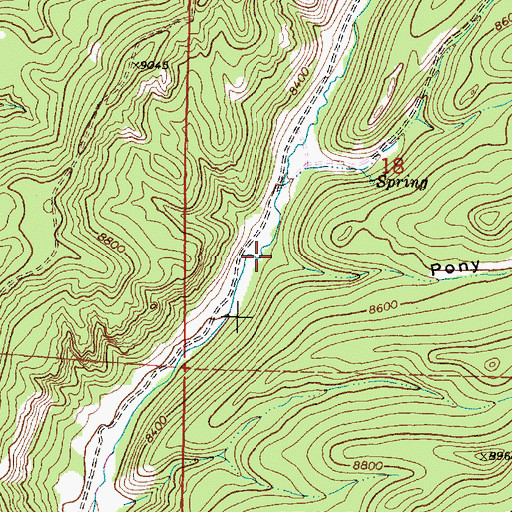 Topographic Map of Pony Canyon, NM
