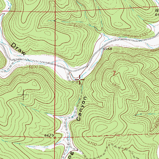 Topographic Map of Prairie Dog Canyon, NM