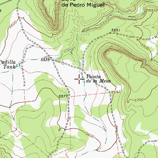 Topographic Map of Punta de la Mesa, NM