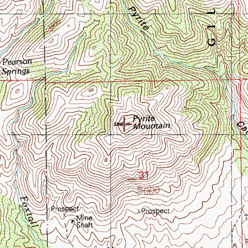 Topographic Map of Pyrite Mountain, NM