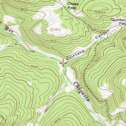 Topographic Map of Quintana Canyon, NM