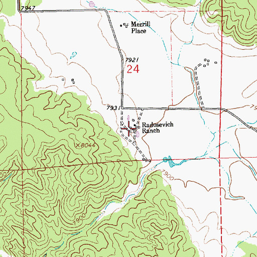 Topographic Map of Radosevich Ranch, NM