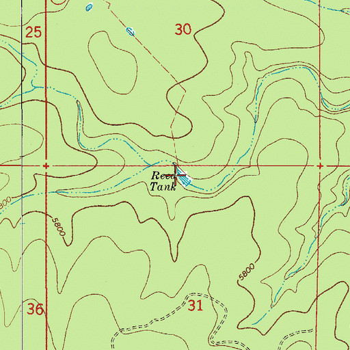 Topographic Map of Reed Tank, NM