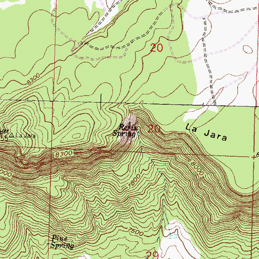 Topographic Map of Revis Spring, NM