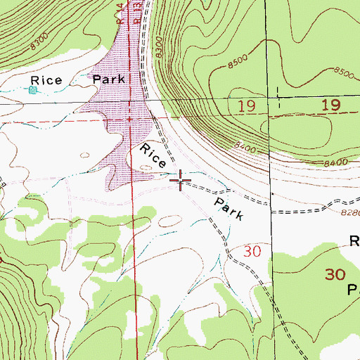 Topographic Map of Rice Park, NM