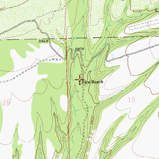 Topographic Map of Rice Ranch, NM