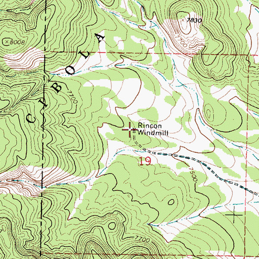 Topographic Map of Rincon Windmill, NM