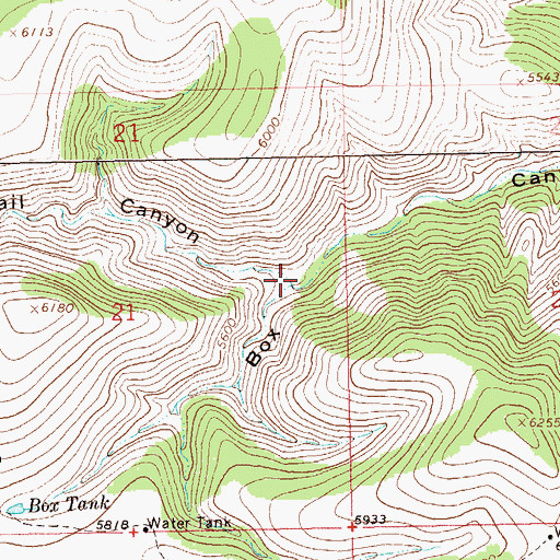 Topographic Map of Ringtail Canyon, NM
